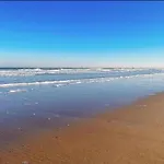 Modern Seaside Escape