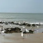Modern Seaside Escape Appartement Knokke-Heist