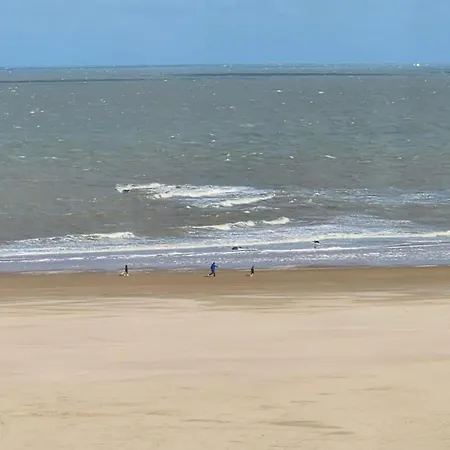 Lägenhet Modern Seaside Escape Knokke-Heist