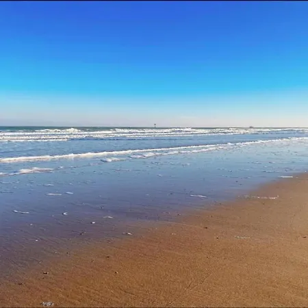 Modern Seaside Escape