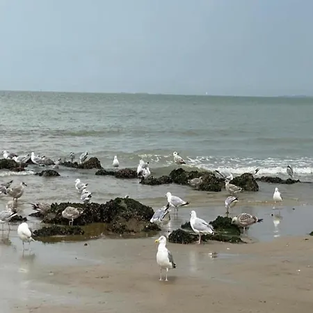 Modern Seaside Escape Appartamento Knokke-Heist